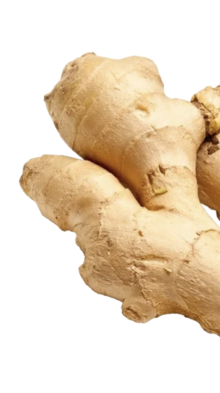 Arnica and ginger botanical visual